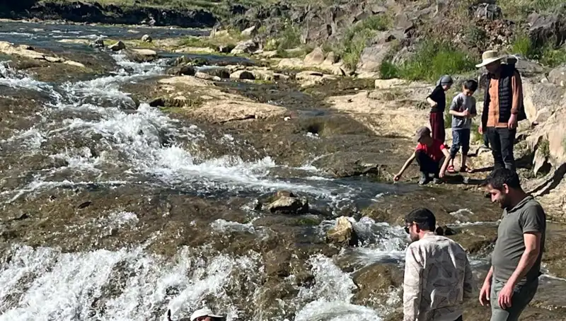 İnci Kefali Göçü: Doğanın Harikası  Binlerce Turisti Çekiyor!