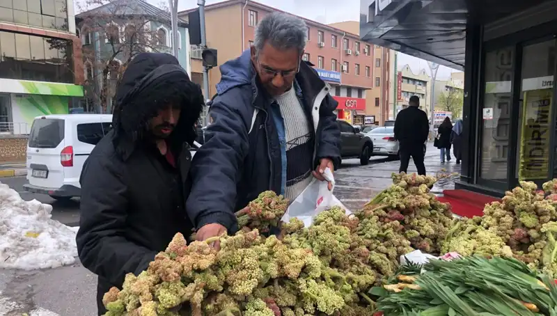 Kendiliğinden Yetişen Bu Bitki Kanserle Mücadelede Yeni Umut Oluyor