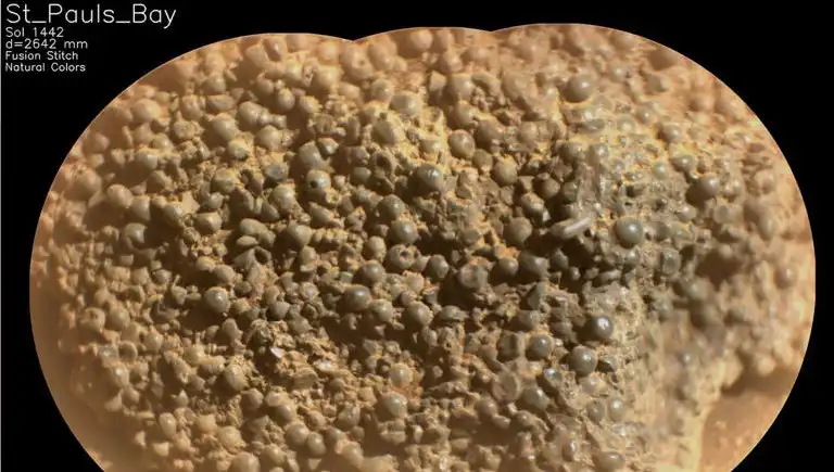 Mars'ta Şaşırtıcı Keşif: Gizemli "Örümcek Yumurtaları"