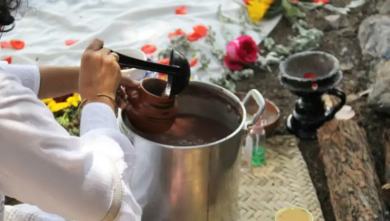 Ayahuasca Nedir? Yasak mı, Yasak Değil mi? Tüm Merak Ettikleriniz Burada!