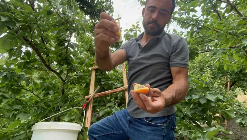 50 TL ile 70 TL Arası Alıcı Bulan Damakta Bırakan Lezzet Nedir?
