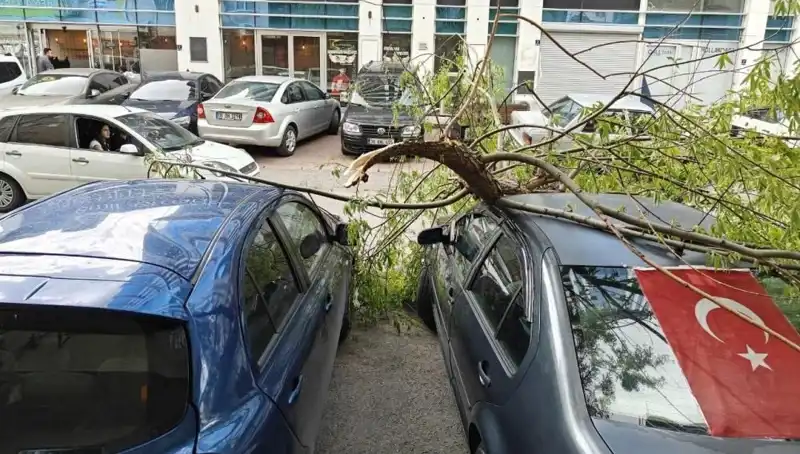 Kayseri'de Güçlü Fırtına: Ağaçlar ve Şehir Hayatı Zarar Gördü