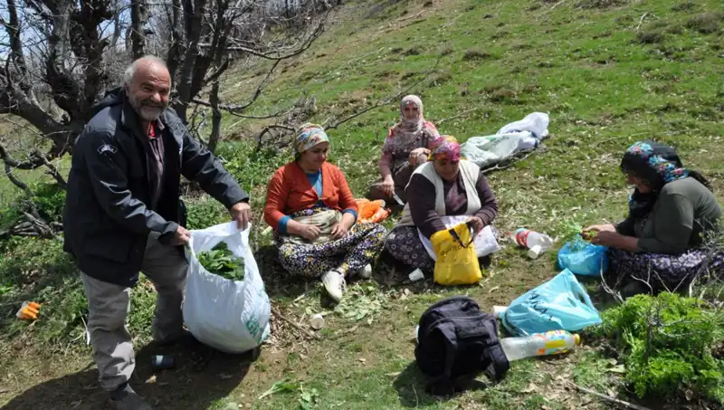 Kilosu 250 Lira: Aileler İçin Ekonomik Kurtuluş Yolu