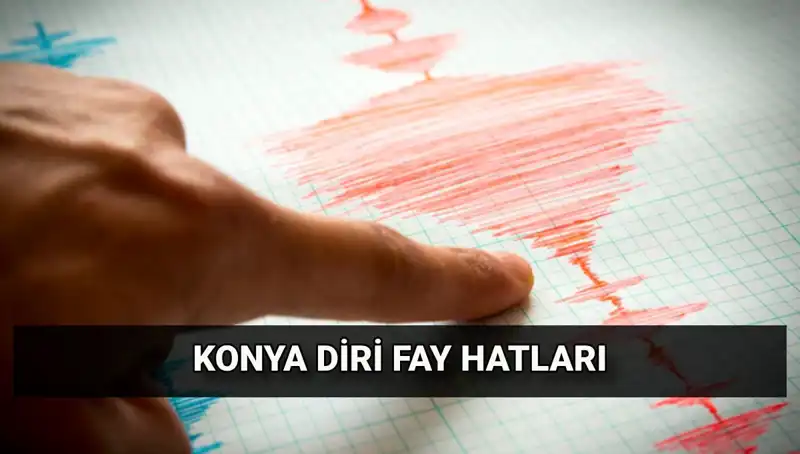 Konya'da Deprem Riski: Fay Hattı ve Güvenlik Önlemleri