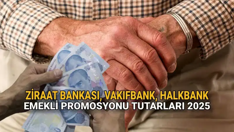 2025'te Kamu Bankalarının Emekli Promosyonları: Ziraat, Vakıfbank ve Halkbank Karşılaştırması
