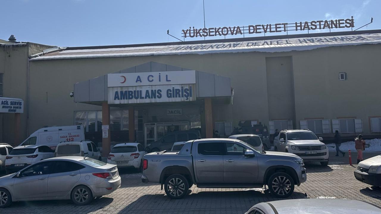 Müfettiş tarafından incelenen başıboş köpek saldırısında hayatını kaybeden çocuğun trajik ölümü