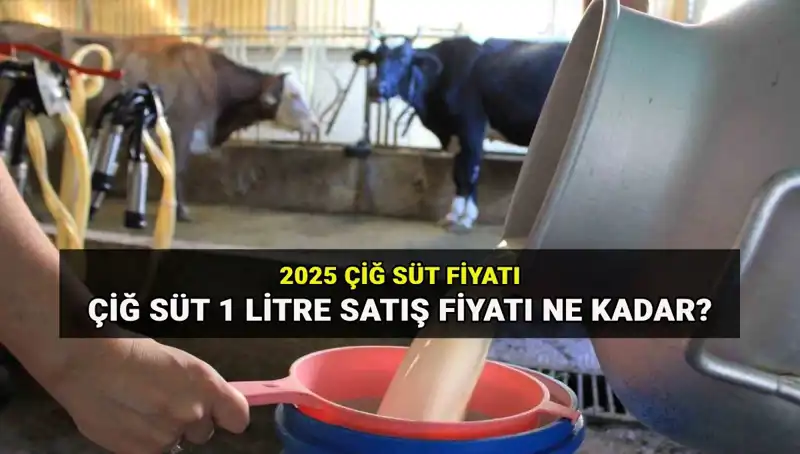 2025 Yılında Çiğ Süt Fiyatları: Ulusal Süt Konseyi Açıklıyor