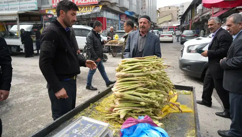 Dağlık Alanların Gizemi: Şekerin Kanser ve Mide Hastalıklarına Faydaları