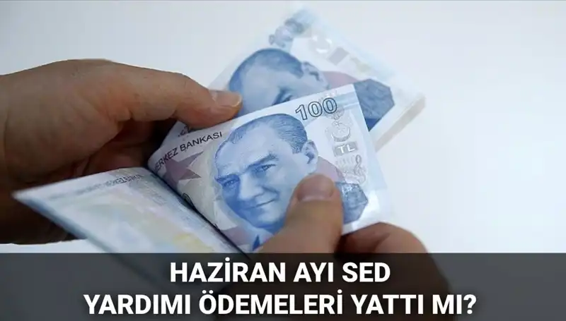 Haziran 2025 SED Ödemeleri Sorgulama: Ödemeler Ne Zaman Yatacak?