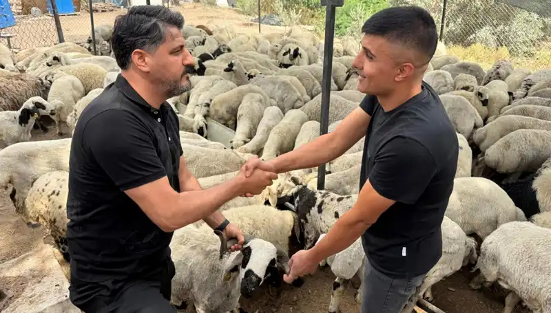 Kurbanlık Alımında Tuz ve Sumak Tuzağına Dikkat!