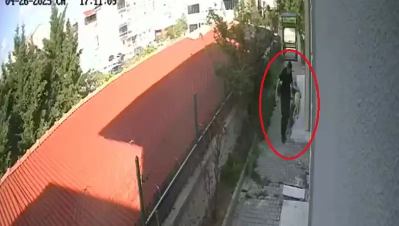 Veteriner Doktorun Dehşet Verici Suçuna Neden Olan Köpekleri Parçalaması