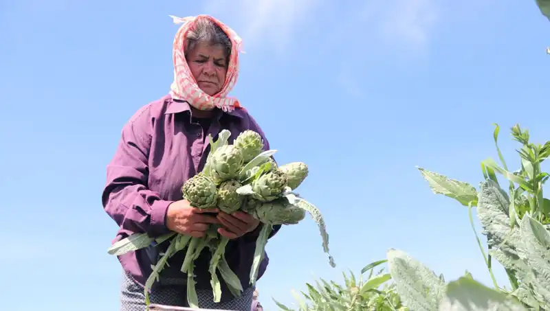 Türkiye'nin Yerli Ürünleri: Tarladan Sofraya, fiyatı 50 TL!