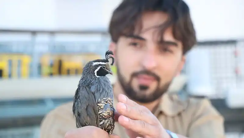 ABD'den 17 Tür Siparişle Başlayan Genç Girişimci, Dünyaya İhracat Yapıyor