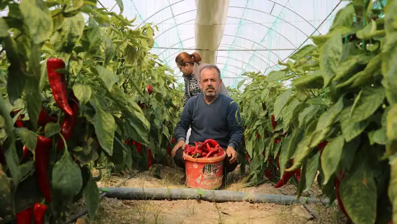 Fiyatlarında Şok Artış: 50 TL'den 80 TL'ye Yükselen Ürünler