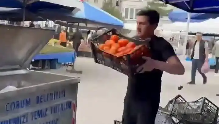 Domatesleri Çöpe Döken Pazarcıya Şok Tutar! Cezası Duyunca Sizin İçin Biter