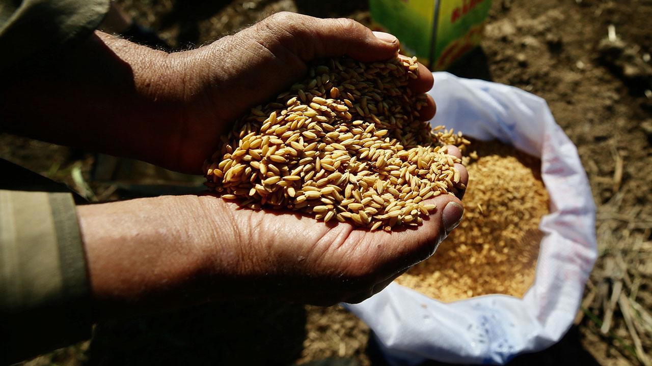 Ata Tohumları Artık Tarım Kredi Marketlerinde de!