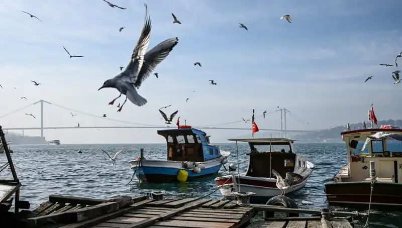 İstanbul'a Bahar Müjdesi: Hava Açılıyor ve Tarih Belli Oldu!