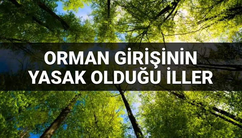 2025 Yılı İçin Türkiye'de Ormana Girişin Yasaklandığı İller