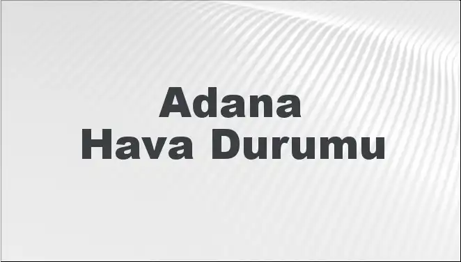 Yapay Zeka ile Değişen Dünyada İnsanların Rolü Nedir?