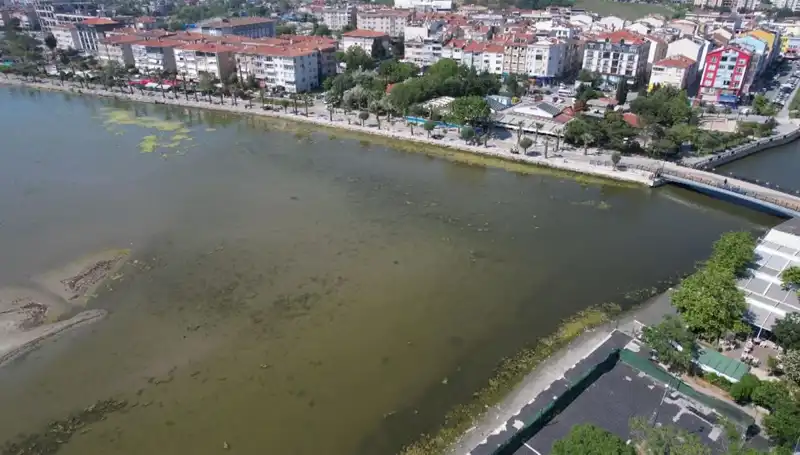 Marmara Denizi’nde Tedirgin Eden Görüntüler: Bilim İnsanları Uyarıyor!