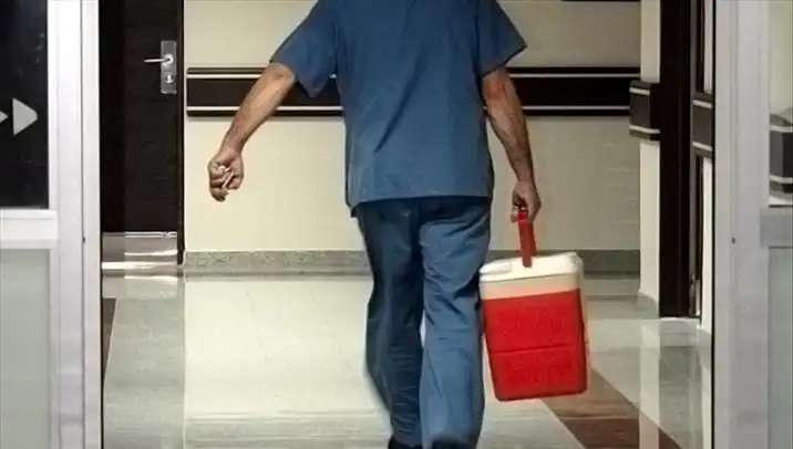 Organ Bağışında Devrim: e-Devlet ve e-Nabız ile Hızlı ve Kolay Başvuru Süreci
