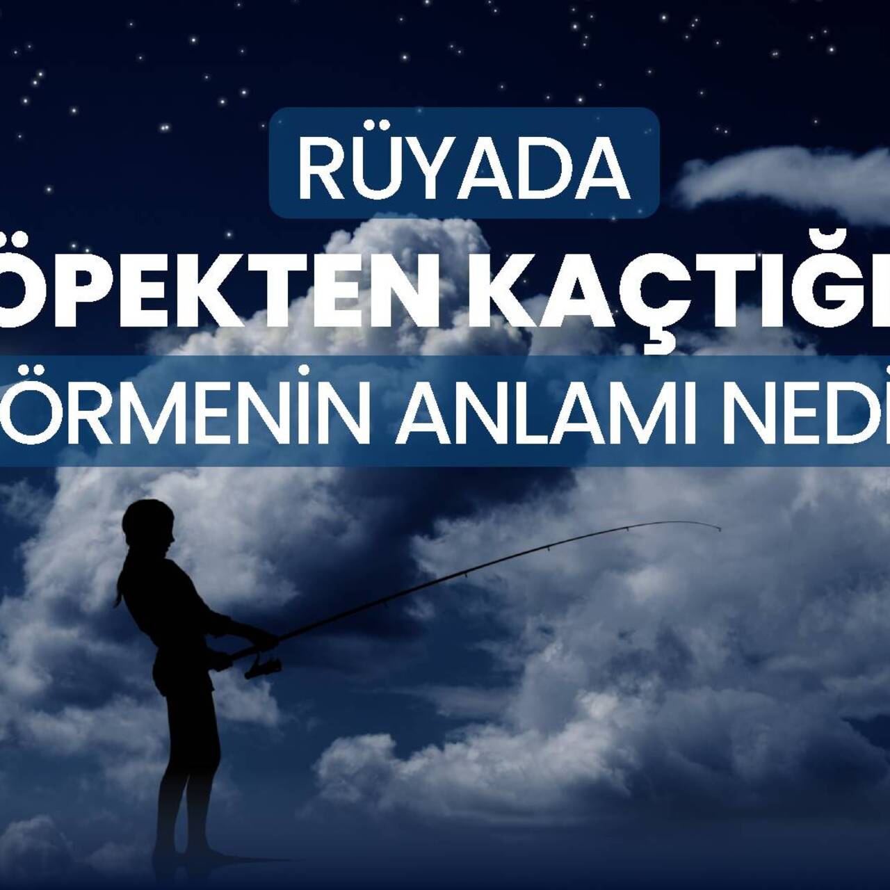 Rüyada Köpekten Kaçmak Ne Anlama Geliyor?