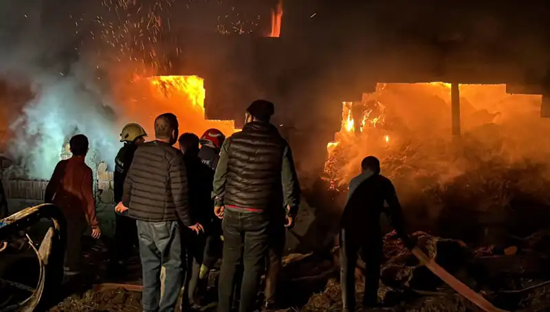 Bolu'da Korkunç Ahır Yangını: Hayvanlar ve Emlak Zarar Gördü