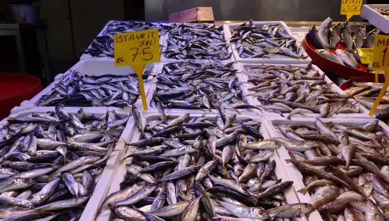 Balık Sezonu Kapanıyor: Tutku ile Beklenen Gün Geldi Çattı