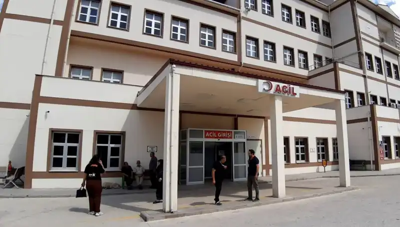 Bolu'da Ayı Avı Kararı: Doğanın Dengesi Tehlikede mi?