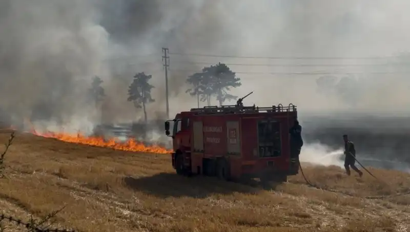 Kırklareli'nde Anız Yangını Nedenleri ve Sonuçlarıyla Korkutuyor