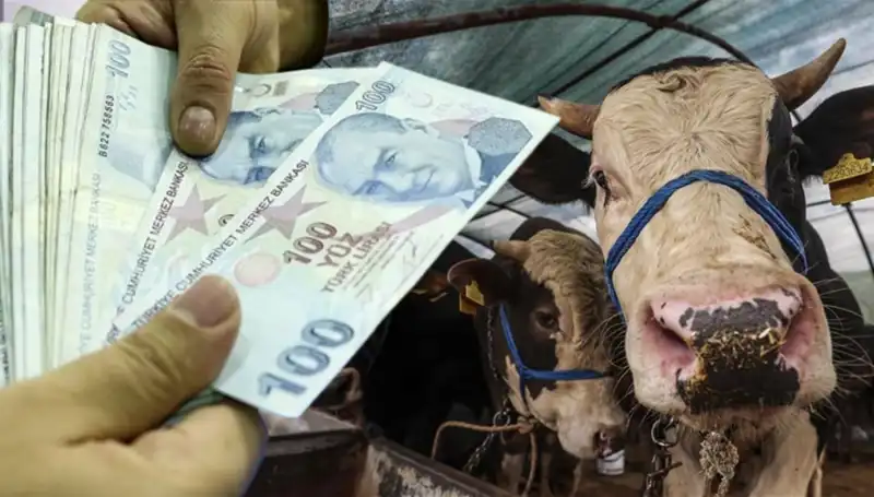 Memur ve Emekli Maaşları Bayram Öncesi Yatacak mı? Son Durum Ne?