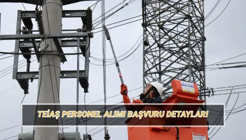 TEİAŞ Personel Alımı Başvurusu: Tarihler, Şartlar ve Branş Dağılımı