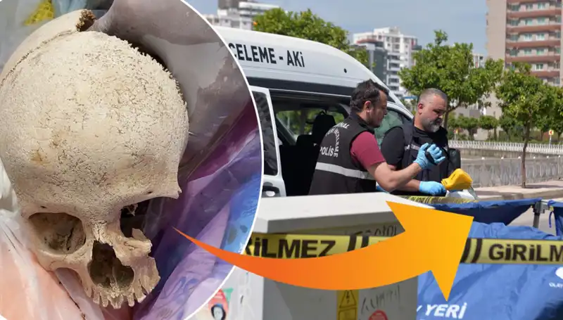 Çöp Alanında Bulunan Kafatasının Sırrı: Uzman Doktor Gözaltında!