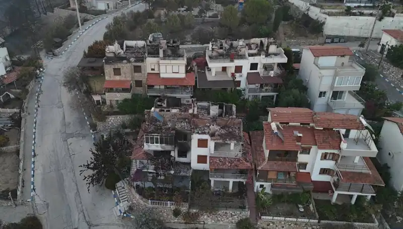 Orman Yangınları: Tahrip Edici Etkileri ve Hayat Kurtarma Mücadeleleri