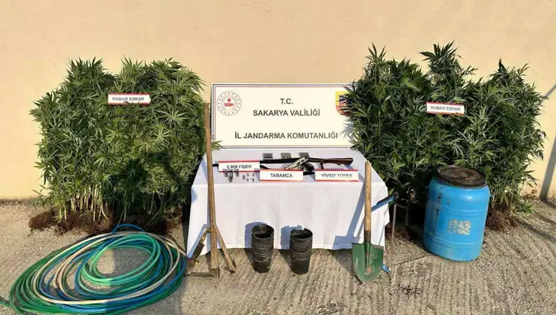 Sakarya’da Uyuşturucu Operasyonu: Narkotik Ekipleri Bir Kişiyi Tutukladı!
