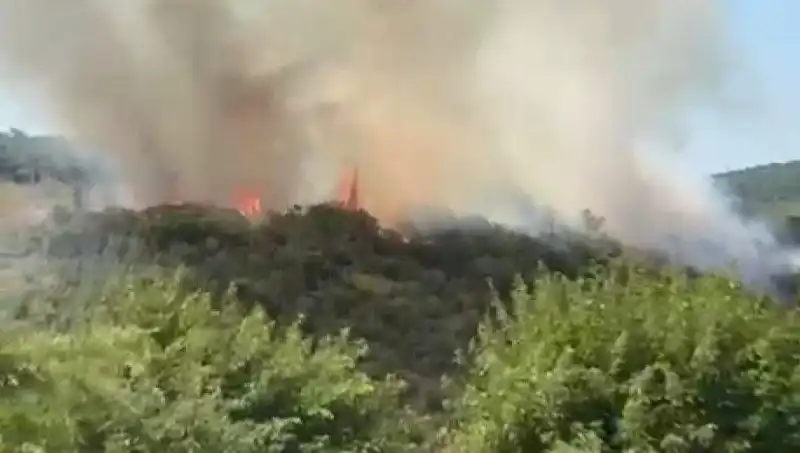 İstanbul'da Orman Yangını: Vatandaşların Tahliyesi ve Olayın Detayları