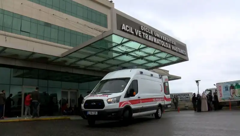 Kuzeninizi Vurmak: Aile İçindeki Korkunç İntikam Hikayesi