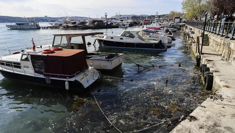 İstanbul'da Müsilaj Alarmı: Denizdeki Felaket Geri Döndü