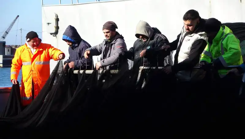 Hamsi Avında Kriz: Tekneler Erken Paydos Etti, Denizlerde Hamsi Müsabakası Sonuçlandı