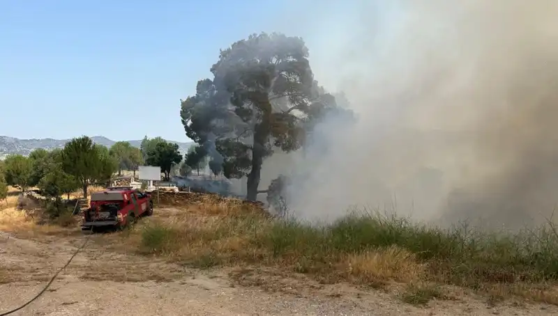 Muğla’da Korkutan Orman Yangını: Alevler 17 Hektarlık Alanı Sardı