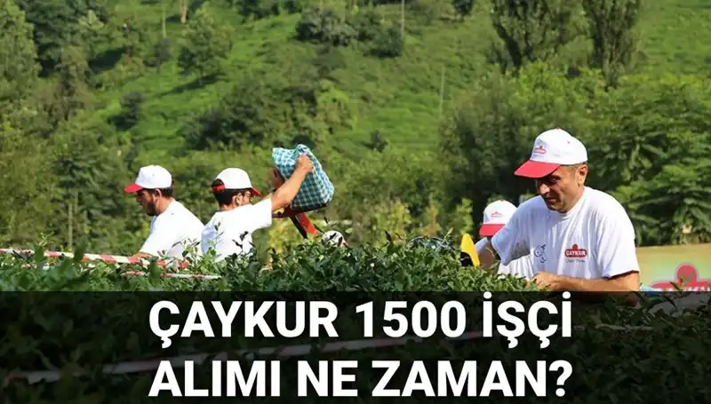Çaykur İşçi Alımı Başvuru Tarihleri Açıklandı: Başvurunuzu Kaçırmayın!