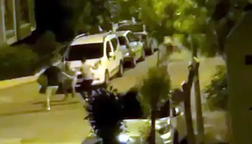 Avcılar'da Uğradığı Saldırıda Vatandaş Hayatını Kaybetmekten Kurtarıldı