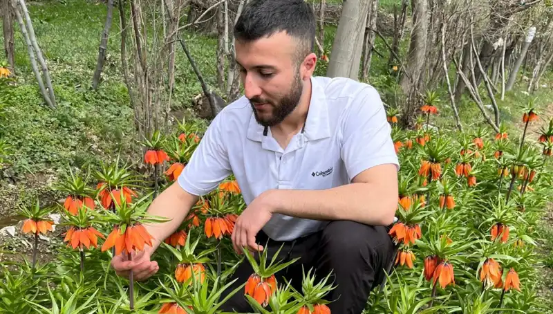 Ağlayan Gelin: 20 Günlük Ömrü ile Kırılgan Güzellik ve Cezası