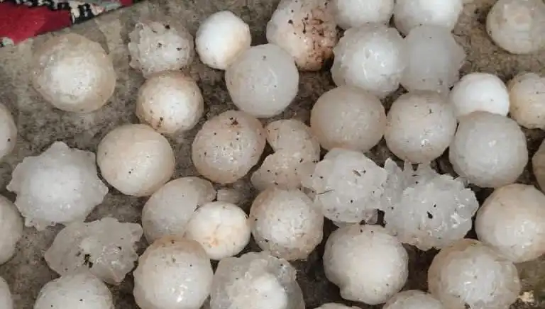 Şanlıurfa'da Kar Topu Büyüklüğünde Dolu Yağışı, Hayatı Olumsuz Etkiledi