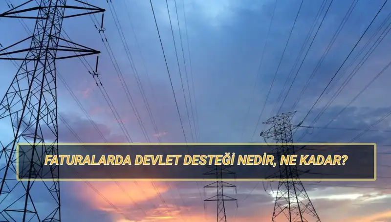 2025'te Doğalgaz ve Elektrik Faturası Devlet Desteği Kimlere Verilecek?