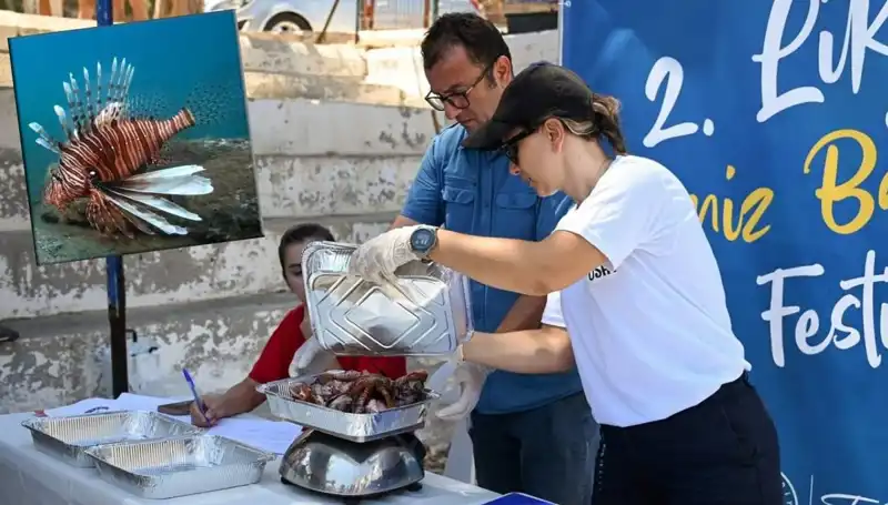 Antalya'da İstilacı Aslan Balığı Avlama Yarışması: Denizleri Koruma Mücadelesi