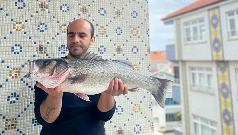 7.5 Kilogramlık Dev Levrek, Balık Tutkunlarını Büyülüyor!