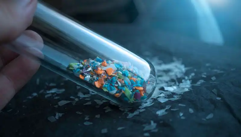 Mikroplastikler İnsan Beyninde: Sağlığımızı Tehdit Eden Gizli Düşman mı?