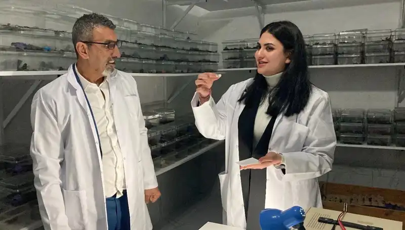 Akrep Zehiri Şekerle Buluştu: Yeni Bir Lezzet Deneyimi!