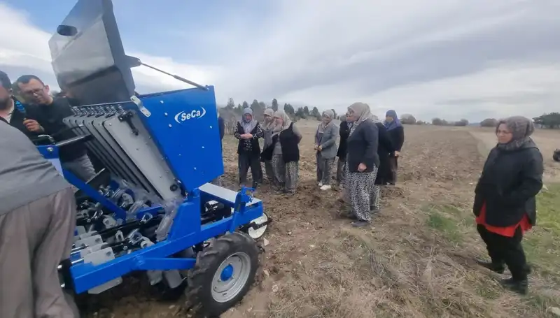 Domaniç'te Ata Tohumu Sarımsak Üretimi İçin Yeni Adımlar Atıldı